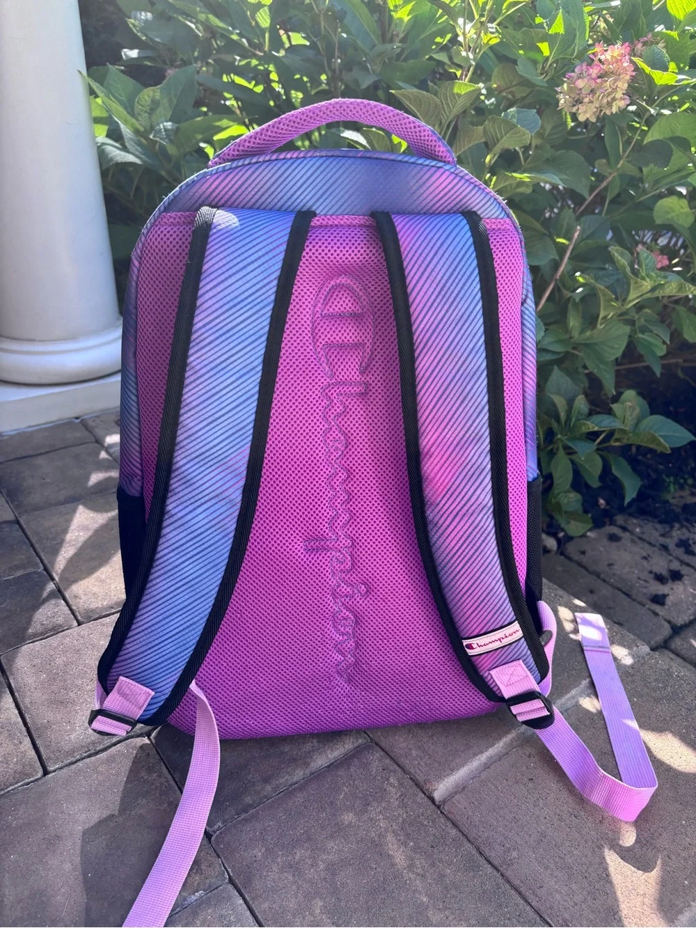 Champion Purple and Pink Ombre Backpack for Men